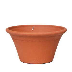 Whichford EBb`tH[h Aؔ ^ n[t|bg a36cmTCY