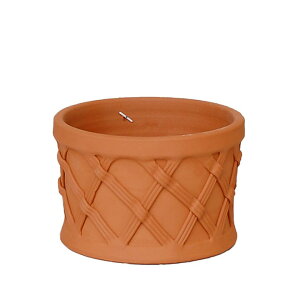 Whichford EBb`tH[h Aؔ oXPbg oXPbgv^[ a25cmTCY (2025N6ē)