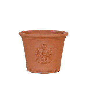 Whichford EBb`tH[h Aؔ _CAhWr[|bg (2025N6ē)