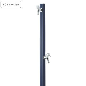 ��p�֌�/�⏕�֌��t�����𒌃A�N�A���[�W��W/AQUA ROUG W �l�C�r�[ �y���[�J�[�����E��������s�z