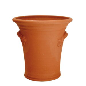 Whichford EBb`tH[h Aؔ nh[|bg a33cmTCY (2025N6ē)