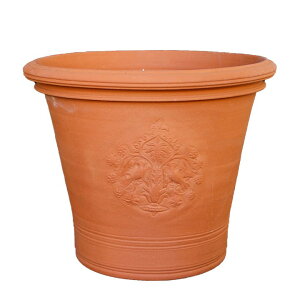 Whichford EBb`tH[h Aؔ uo[Y|bg a35cmTCY (2025N4ē)