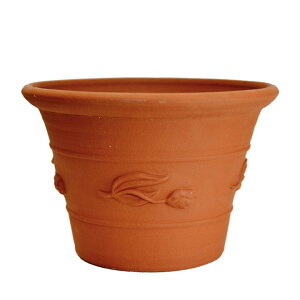 Whichford EBb`tH[h Aؔ ^ _[EBE`[bvE|bg a38cmTCY