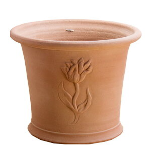 Whichford EBb`tH[h Aؔ ~XeBbh ~Xg `[bv|bg a35cmTCY (2025N6ē)