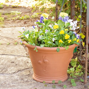 Whichford EBb`tH[h Aؔ t`A|bg a34cmTCY