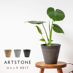  y Aؔ v^[ ARTSTONE A[gXg[ RjbN XS a17cmTCY 5 (A[gXg[N[|Ώ)
