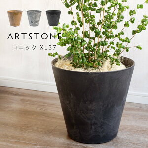 yX[p[SALEGg[Ń|Cg5{Ώہz y Aؔ v^[ ARTSTONE A[gXg[ RjbN XL a37cmTCY 12