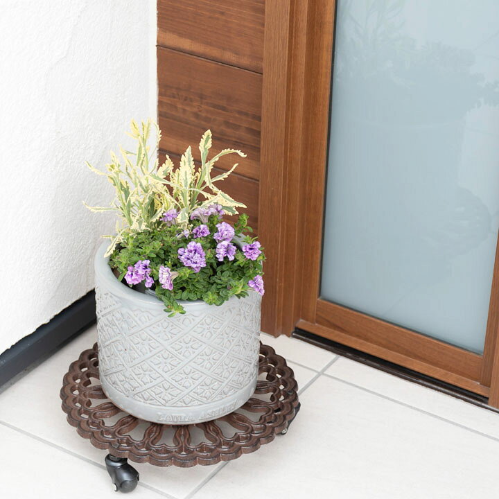 楽天市場】Mr Jones Cylinder 直径20cmサイズ LAURA ASHLEY PLANTER(秋のガーデニングフェア) : ガーデンマート 楽天市場】Mr Jones Cylinder 直径20cmサイズ LAURA ASHLEY PLANTER(秋のガーデニングフェア) : ガーデンマート