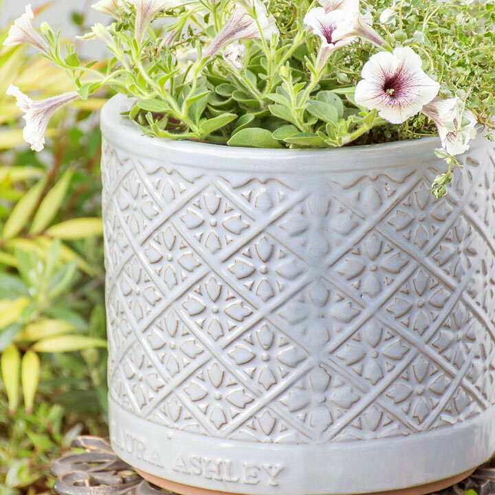 楽天市場】Mr Jones Cylinder 直径25cmサイズ LAURA ASHLEY PLANTER(秋のガーデニングフェア) : ガーデンマート 楽天市場】Mr Jones Cylinder 直径25cmサイズ LAURA ASHLEY PLANTER(秋のガーデニングフェア) : ガーデンマート