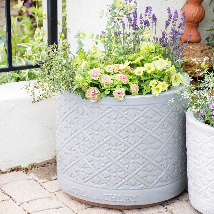 楽天市場】Mr Jones Cylinder 直径38cmサイズ LAURA ASHLEY PLANTER