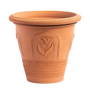 Whichford EBb`tH[h Aؔ XƂ`[bv|bg S a32cmTCY (2025N6ē)