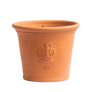 Whichford EBb`tH[h Aؔ Wr[|bg a30cmTCY (2025N6ē)