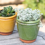 Whichford ウィッチフォード 植木鉢 塗り鉢 グレイズド オーリキュラポットR 直径10cm 【rv】