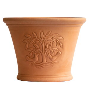 Whichford EBb`tH[h Aؔ ^ ̖ v^[ a48cmTCY (EBb`tH[h̏H)