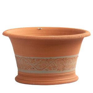 Whichford EBb`tH[h Aؔ ^ Honeysuckle Halfpot a46cmTCY