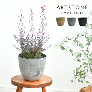  y Aؔ v^[ ARTSTONE A[gXg[ Eh XXS 17cmTCY 5 ݌Ɍ