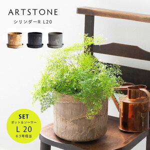  y Aؔ v^[ M  Zbg ARTSTONE A[gXg[ V_[R L a20cmTCY 6.5󂯎MZbg