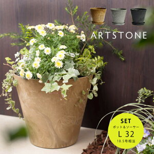  y Aؔ v^[ M  Zbg ARTSTONE A[gXg[ RjbN L a32cmTCY 5 󂯎MZbg