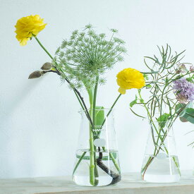 花瓶 フラワーベース 日本製ガラス シンプル 花器 理化学品 HARIO ハリオ コニカルビーカー 1,000mL