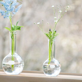 花瓶 フラワーベース 日本製ガラス シンプル 花器 理化学品 HARIO ハリオ 平底フラスコ 50mL