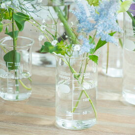 花瓶 フラワーベース 日本製ガラス シンプル 花器 理化学品 HARIO ハリオ トールビーカー 200mL