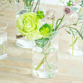 花瓶 フラワーベース 日本製ガラス シンプル 花器 理化学品 HARIO ハリオ トールビーカー 500mL