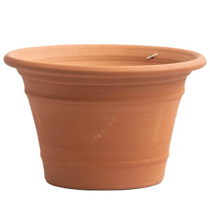 Whichford EBb`tH[h Aؔ ^ Rvg|bg a38cmTCY