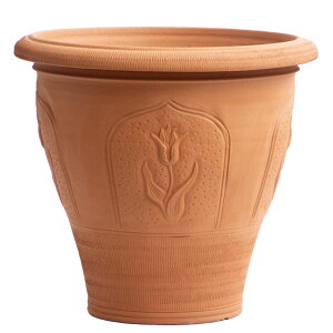 Whichford EBb`tH[h Aؔ ^ XƂ`[bv|bg M a41cmTCY