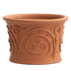 Whichford EBb`tH[h Aؔ ^ TTjAv^[ a39cmTCY