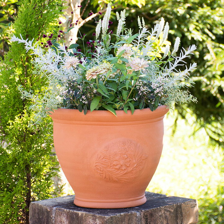楽天市場】【プレゼント応募対象】 Whichford ウィッチフォード 植木鉢 