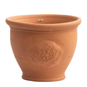 Whichford EBb`tH[h Aؔ EB[|bg a34cmTCY