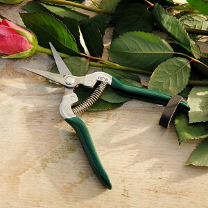 | K[fjOp ͂ t[AWg ԓEݙ΂ Flower & Fruit Snip RHSFi Burgon&Ball o[S{[yǐՉ\[({X) Iőz