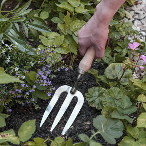 園芸 ガーデニング用 ハンディ 除草 雑草取り ステンレススチール製 ハンドフォーク Hand Fork RHS認定品 Burgon&Ball バーゴン&ボール (マラソン期間中PTUP)