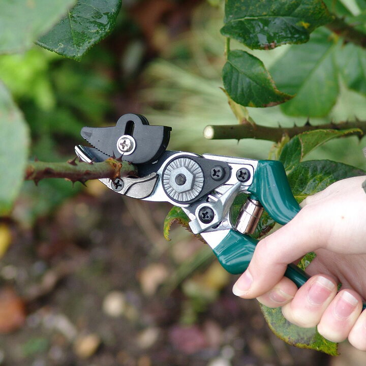 トップ剪定ばさみプロフェッショナル移植切削工具果樹ガーデンガーデンばさみ手ばさみ 合板】 🎌 ガーデンシアーズプロフェッショナルガーデニングツールガーデンツール接ぎ木剪定ばさみツール剪定 