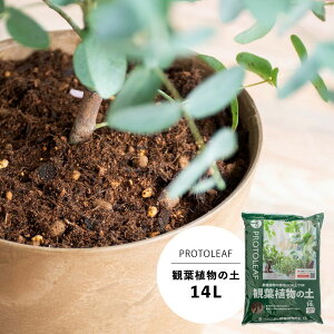 PROTOLEAF vg[t |{y ϗtA̓y 14L