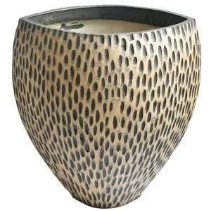 Whichford EBb`tH[h Aؔ ^ Techne Fauna