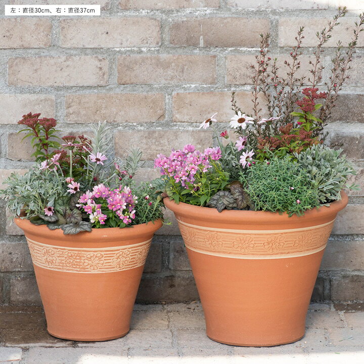楽天市場】【プレゼント応募対象】 Whichford ウィッチフォード 植木鉢 