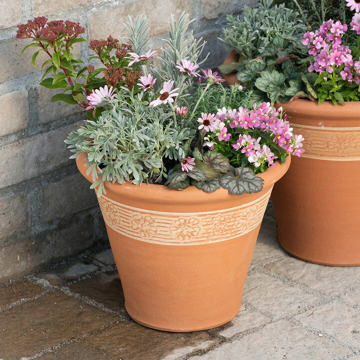 楽天市場】Whichford ウィッチフォード 植木鉢 ロンドン ハウス プリム 