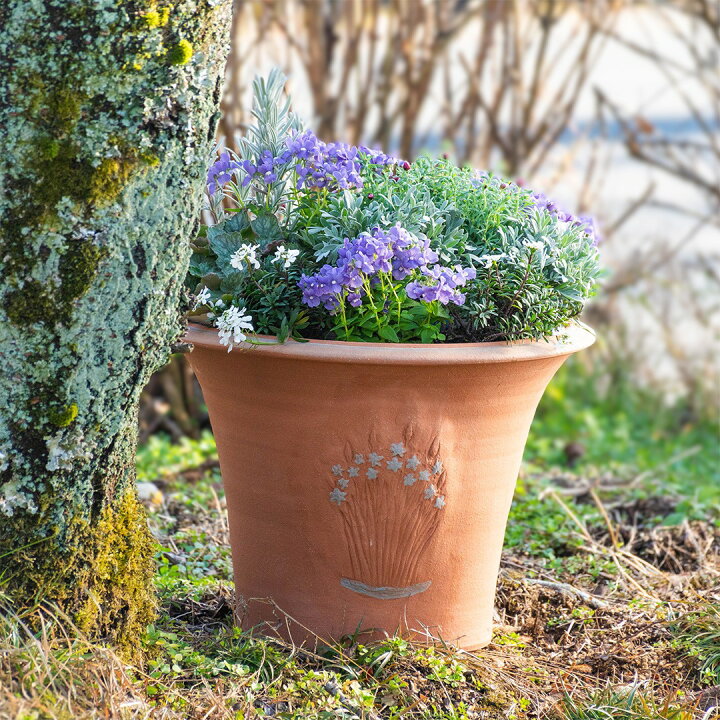 楽天市場】【プレゼント応募対象】 Whichford ウィッチフォード 植木鉢 