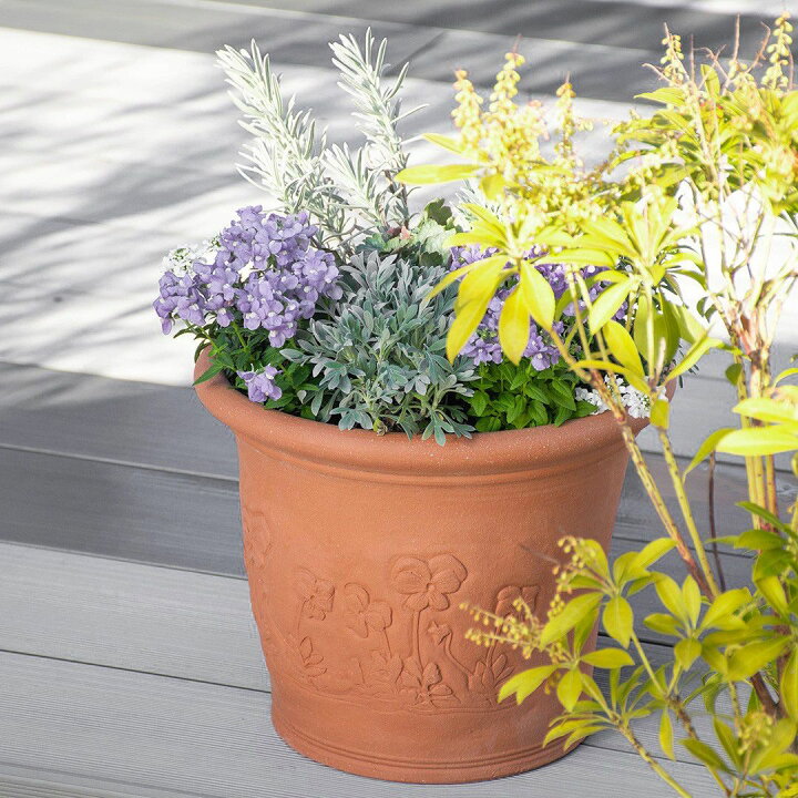 楽天市場】Whichford ウィッチフォード 植木鉢 ビオラポット 直径31cm 