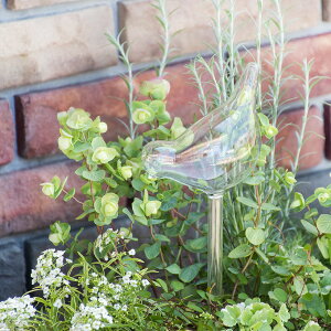 o[hKXsbNmesschert design/GbV[fUCn