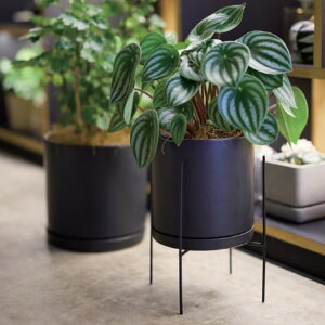 | ϗtA Aؔp ubN X^h ACA|bgX^h 26p