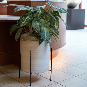 | ϗtA Aؔp ubN X^h ACA|bgX^h 30p