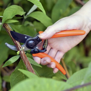 ���| �K�[�f�j���O�p ��� �K�N ���� �}�� �͂��� �}�C�N������΂��� �e���R�b�^ Micro Secateur RHS�F��i Burgon&Ball �o�[�S�����{�[���y�ǐՉ\���[����(���{�X��) �I���ő��������z