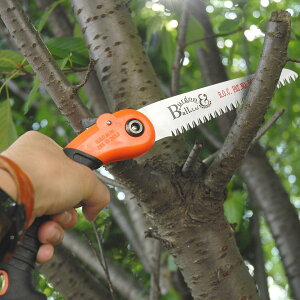 | K[fjOp  KN  } ܂肽ݎ̂ FOLDING PRUNING SAW RHSFi Burgon&Ball o[S{[ (}\ԒPTUP)
