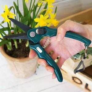 | K[fjOp ͂ t[AWg t[Xg΂ Florists Shear RHSFi Burgon&Ball o[S{[yǐՉ\[({X) Iőz