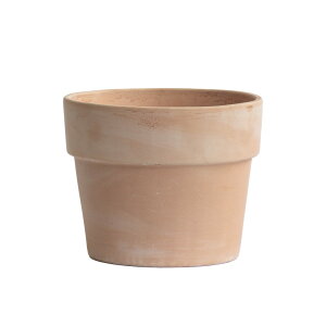 C^AeRb^ Aؔ NVJ ||bg @\ ytFbg S 8 Deroma(f[}) ꌊ