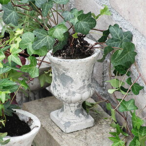 AeB[NK[f|bg [|bgB STCY XO[ ݌Ɍ