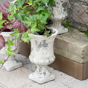 AeB[NK[f|bg [|bgB LTCY XO[ ݌Ɍ