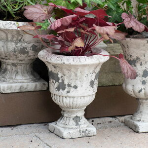 AeB[NK[f|bg [|bgD XO[ ݌Ɍ